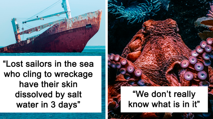 24 Of The Creepiest Facts About The Ocean You Might Wish You Never Knew, As Shared In This Online Thread