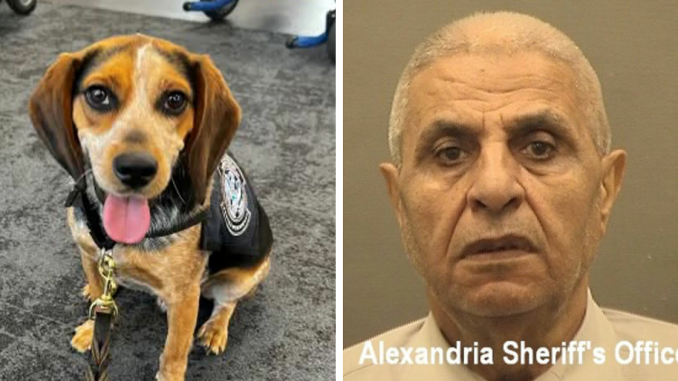 “John Wick Is Coming For You”: Tourist Who Kicked TSA Dog Faces Punishment After Airport Outrage