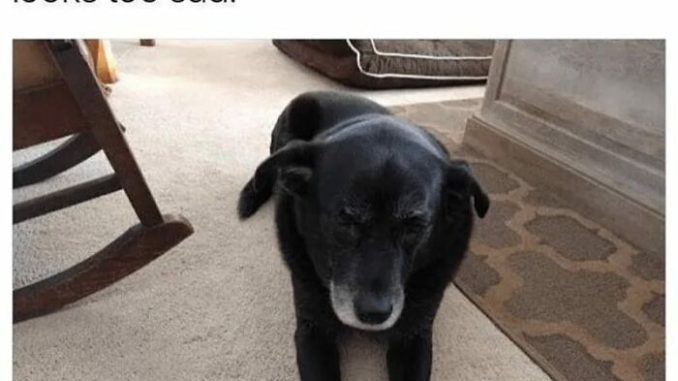 39 Hilarious Memes About Office Life That You’ll Probably Want To Share With Your Coworkers