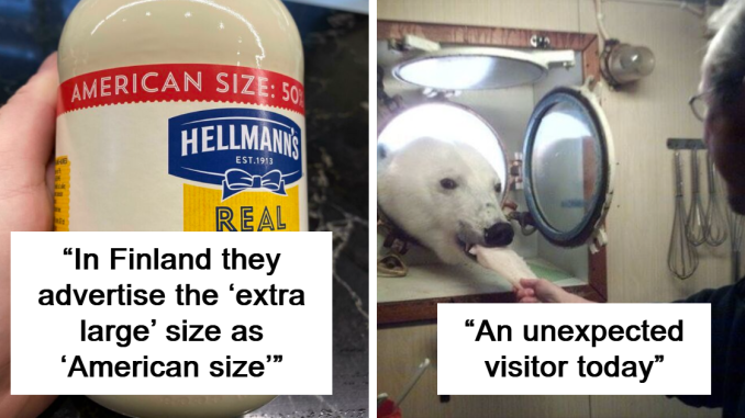 49 Photos So Interesting They Feel Illegal To Look At Without Protective Eyewear