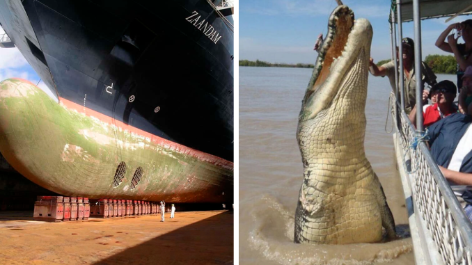 “Nope, I’m Outta Here”: 46 Terrifyingly Big Things That Make People Uncomfortable