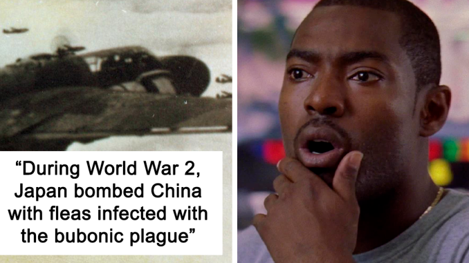 11 Facts That People Had A Hard Time Accepting, As Shared In This Online Thread