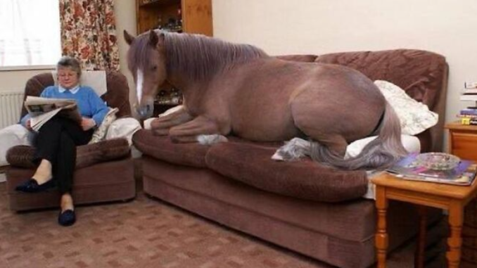 85 Images That Might Make You Uncomfortable For No Apparent Reason (New Pics)