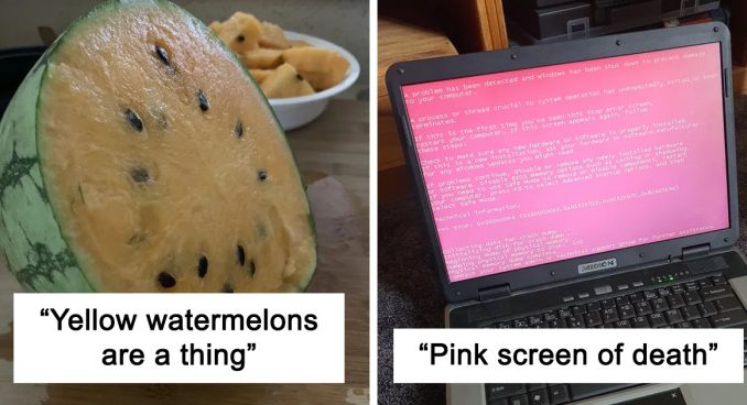40 Unusual Things People Came Across That Made Them Think They’d Entered A “Parallel Universe”