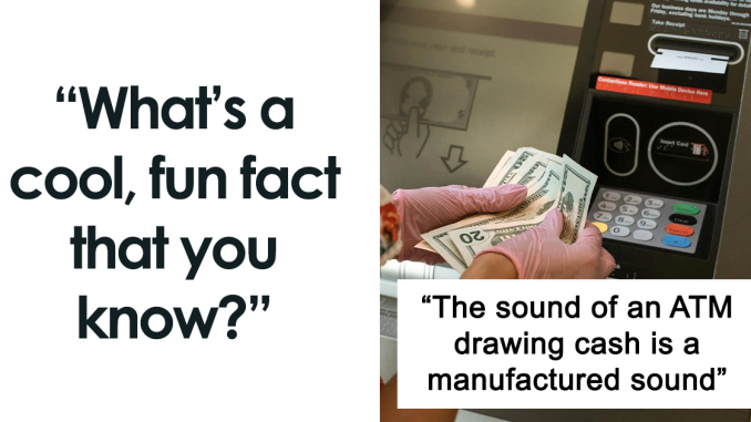 Someone Asked, ‘What’s A Cool Fun Fact That You Know?’, 23 People Delivered