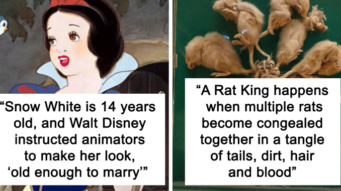 Someone Asked “What Is A Fun Fact That Is Mildly Disturbing?” And 14 People Delivered