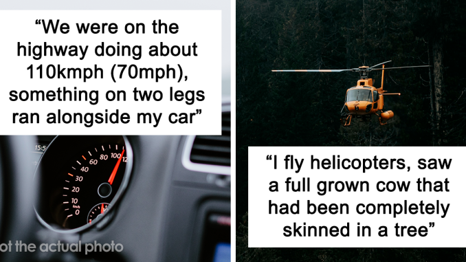 19 Chilling Stories From People Who Have Seen Things They Couldn’t Explain