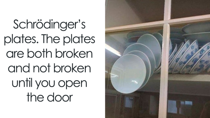 ‘Physics Is Fun’: 67 Memes To Keep Your Brain Sharp And Witty