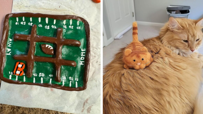 Finally, 23 Hobbies Where “Trying Your Best” Is Genuinely The Only Skill You Need