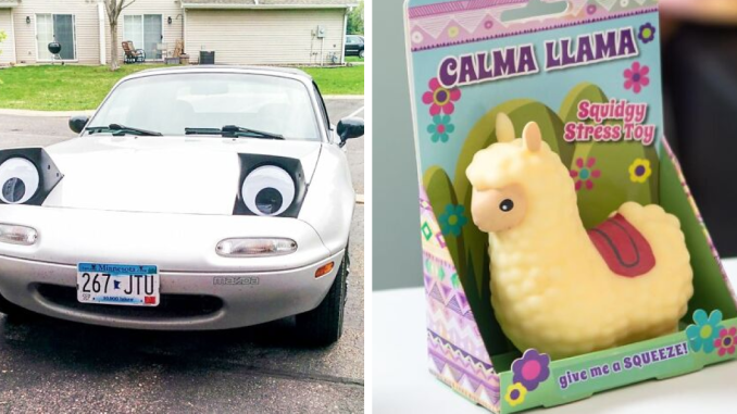 Prepare For Your Day To Get 22% More Delightful With These Oddball Finds