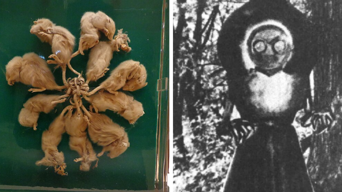 60 Times Wikipedia Articles Were So Scary And Unsettling People Just Had To Know More