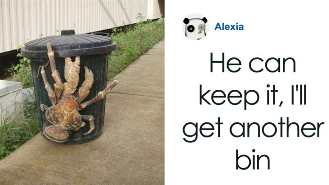 This “Unpleasant Images” Page Posts Exactly What’s Written On The Tin (29 Pics)