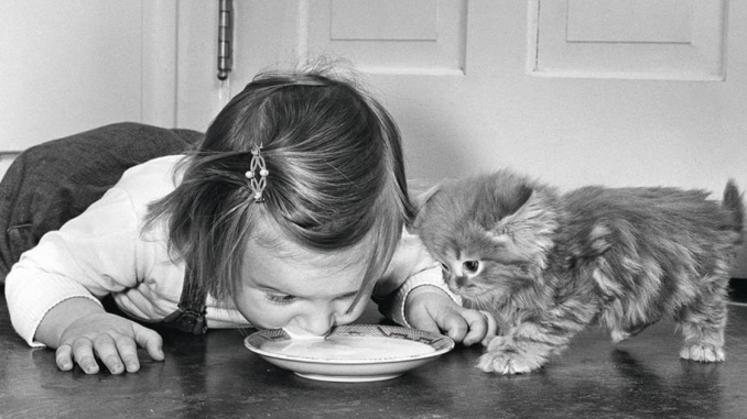 45 Adorable Vintage Photos Showcasing The Timeless Bond Between Kids And Cats, As Collected By This Page