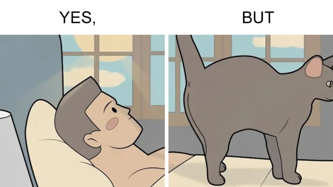 “Yes, But”: Artist Creates A Series Of Illustrations That Depict Our Society’s Contradictions, And Here Are 21 Of His Comics, Pet Edition