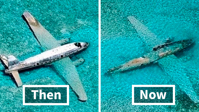 People Are Sharing ‘Then And Now’ Pics On This Page To Show How Time Changes Things (40 New Pics)