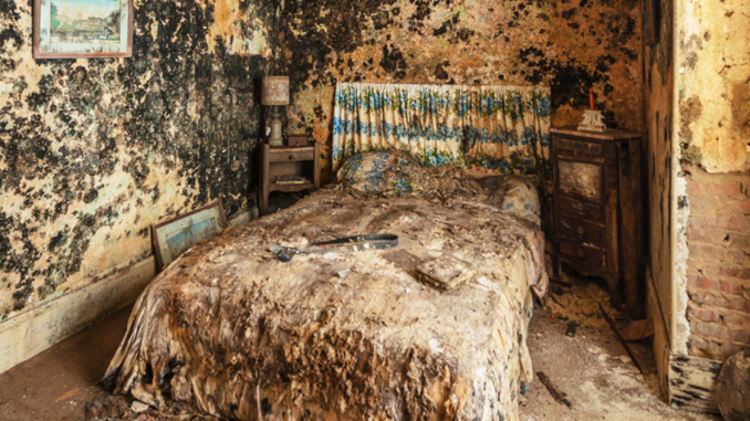 In My Series Of Abandoned Places, I Invite You To Travel Through A Post-Apocalyptic World