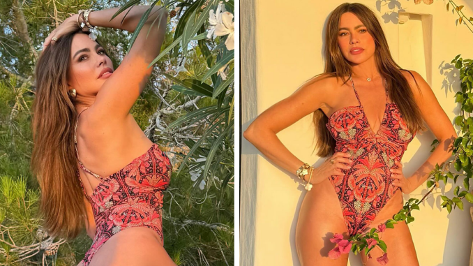 Sofía Vergara, 52, Makes Fans Drool In $30 Skimpy Swimsuit From Walmart