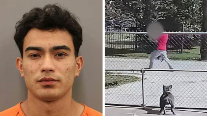 Horrifying Footage Captures Screaming Trafficking Victim Being Dragged To Captivity After Escaping
