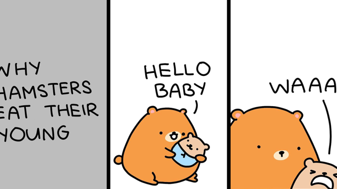 21 “The Square Comics” For People Who Enjoy A Dark Sense Of Humor