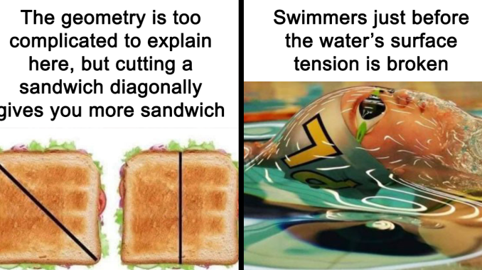 ‘Science Memes’: 44 Of The Most Relatable Posts That Perfectly Marry Knowledge And Humor