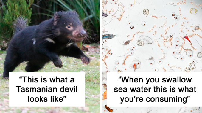 32 Scientists Share That “One Science Fact” They Wish The Whole World Would Know