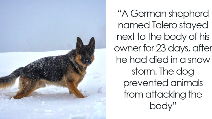 80 Posts From ‘Mind-Blowing Facts’ That Fully Live Up To The Name (New Pics)
