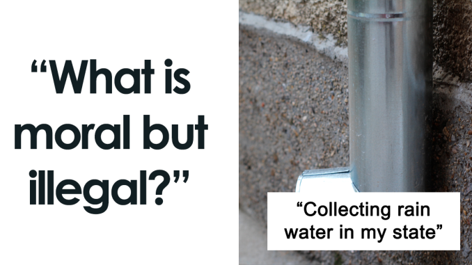 “What Is Moral But Illegal?”: 25 People Are Sharing Some Of The Dumbest Laws Around The World