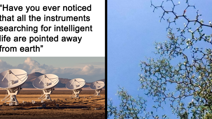 This Online Page Explores “The Darker Side Of Science”, And Here Are 45 Of Their Funniest Memes And Posts