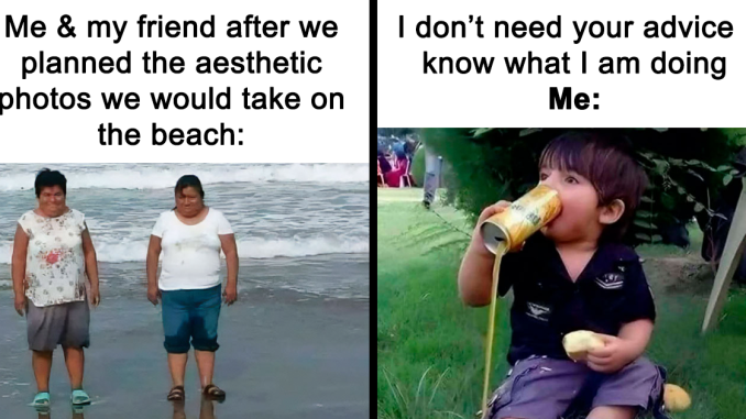 95 Funny Memes That Might Remind You Not To Take Life Too Seriously