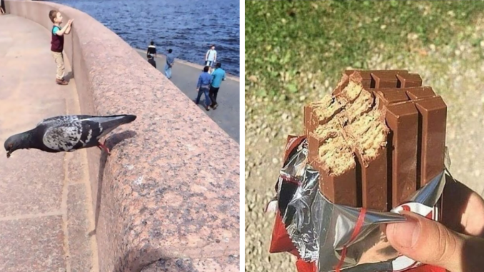 77 Cursed Images So Unhinged, You Might Wonder What Corner Of The Internet They Crawled Out From
