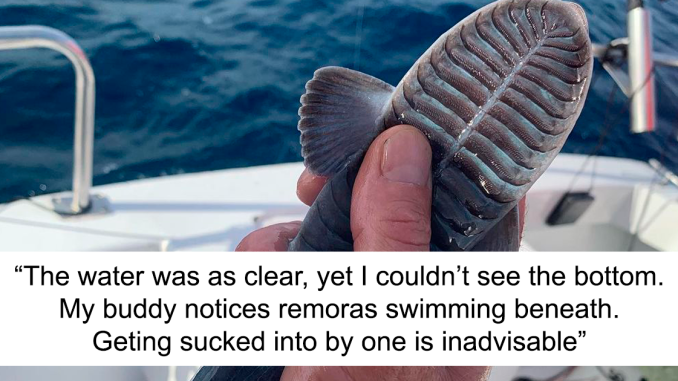 21 Of The Most Creepy Or Weird Things People Witnessed In Oceans, As Shared In This Online Group