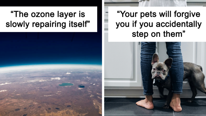 Someone Asked For ‘Very Comforting Facts,’ And 28 People Delivered