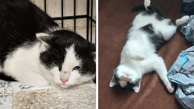 77 Of The Most Heartwarming Before And After Photos People Have Shared Online (New Pics)
