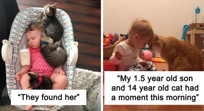 39 Times Cats Figured Their New Job Was Babysitting, And Nailed It