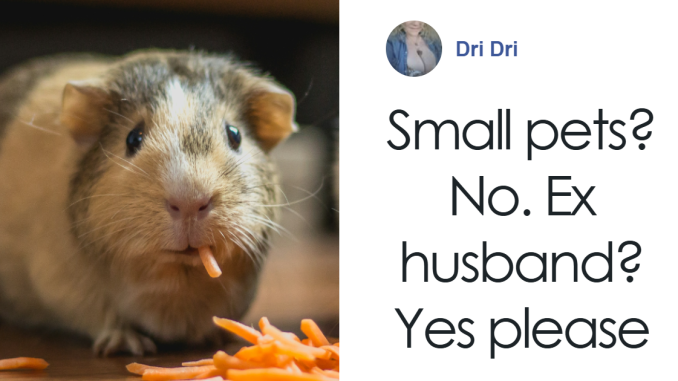 “Can I Donate My In-Law?”: Zoo Encourages Public To Donate Their Pets To Help Feed The Predators