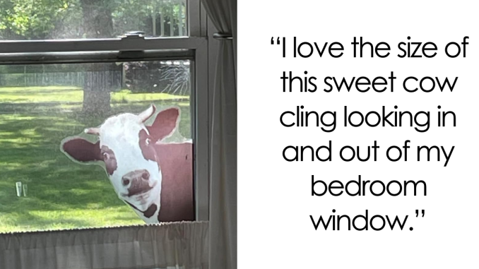 28 Totally Outlandish Things That Actually Make Perfect, Glorious Sense