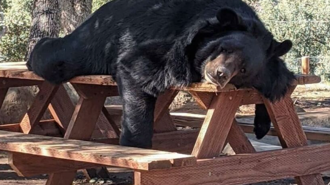 50 Times People Spotted The Cutest Animals And Just Had To Take A Pic Of Them
