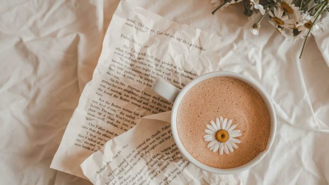 “Lost In Life?” Answer 27 Questions And We’ll Help You Find Your Chapter