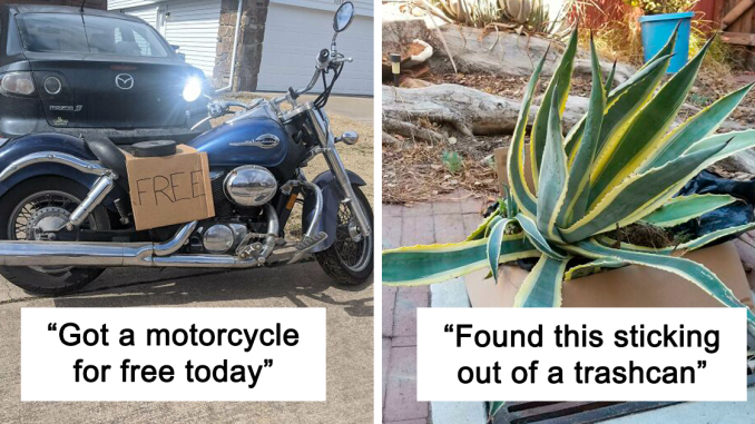 40 Of The Luckiest “Curb Finds” That People Just Stumbled Upon