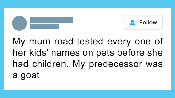85 Times People Said Sentences That Probably Only They Could Have Come Up With (New Pics)