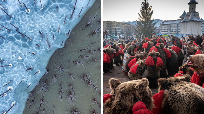 Here Are The 28 Winning Pictures Of The 2022 Nature Photographer Of The Year
