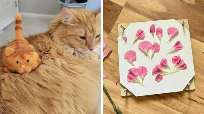 22 New Hobbies That Are Way More Fulfilling Than Doomscrolling