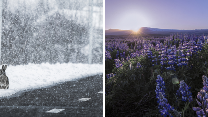 I’ve Circled Iceland 3 Times, Here Are My 28 Favorite Pics That Capture Its Beauty
