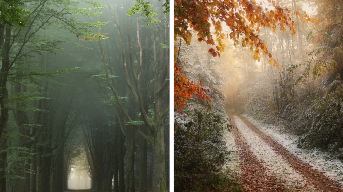 I Live In A Rural Area In The Netherlands And I Capture Its Scenic Countryside (39 Pics)