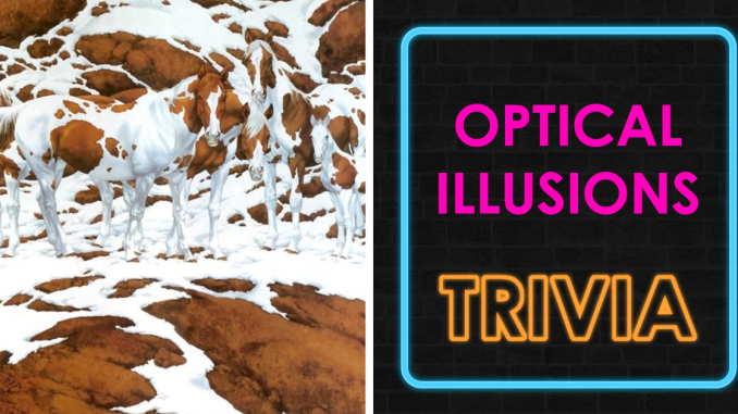 Everyone Sees The Man, Only Geniuses See The Rest: Solve 19 Viral Optical Illusions
