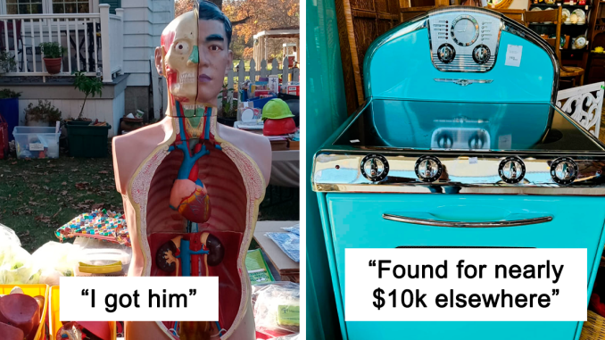 29 Times People Struck Gold When Shopping Secondhand