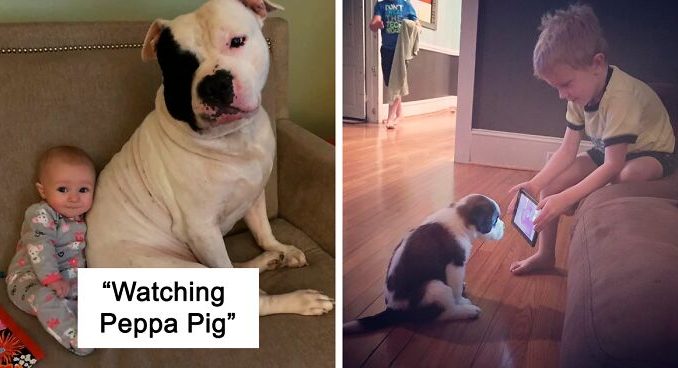 If You Don’t Think Your Kids Need A Dog After Seeing These Pics, You Must Be A Cat (New Pics)