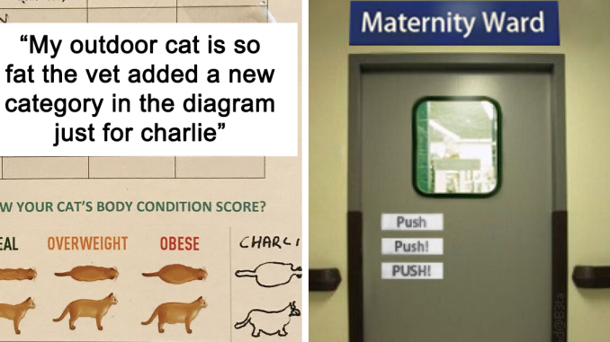 50 Times People In The Medical Field Did Something Extra To Make Their Patients Smile