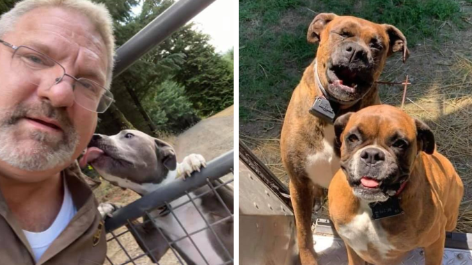 Turns Out, UPS Drivers Have A Facebook Group About Dogs They Meet On Their Routes, And It Will Make Your Day (30 New Pics)