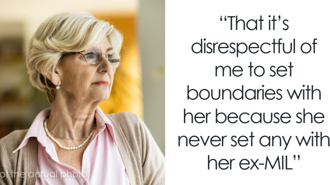 97 Crazy Things Heard From MILs That Really Need To Calm Down